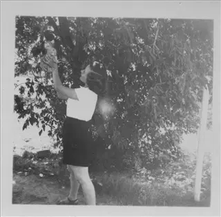 small_merlene webster b 2017-190.webp